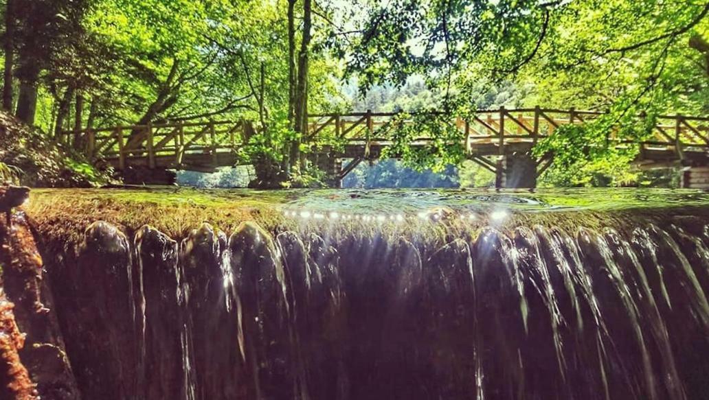 منزل الضيف مِنغِن  في Habitat Mesire المظهر الخارجي الصورة