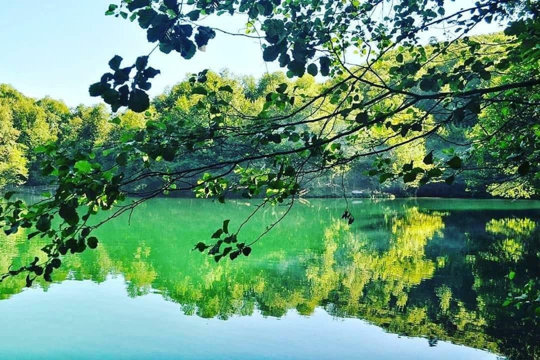 منزل الضيف مِنغِن  في Habitat Mesire المظهر الخارجي الصورة
